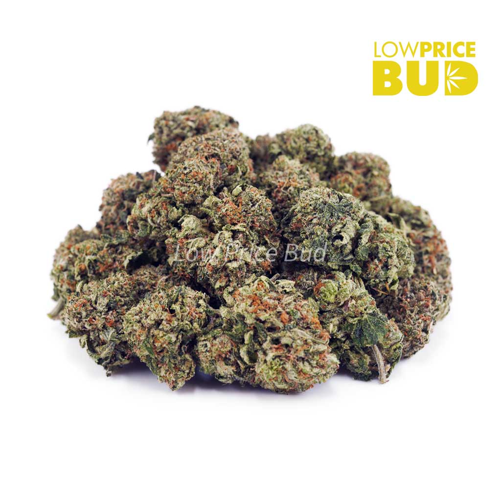 Island Kush (AA) Buy Island Kush (AA) online Canada