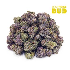 Quantum Kush (AAAA) – Popcorn Nugs Buy Quantum Kush (AAAA) – Popcorn Nugs online Canada