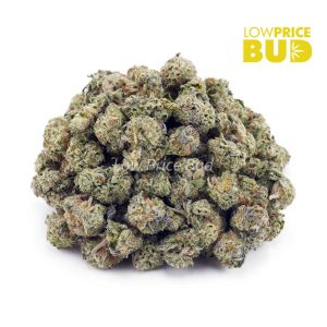 Cake Mintz (AAAA) – Popcorn Nugs Buy Cake Mintz (AAAA) – Popcorn Nugs online Canada