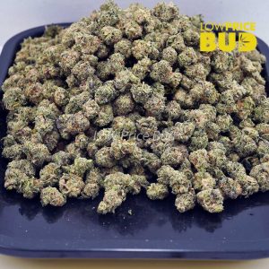 Cake Mintz (AAAA) – Popcorn Nugs Buy Cake Mintz (AAAA) – Popcorn Nugs online Canada