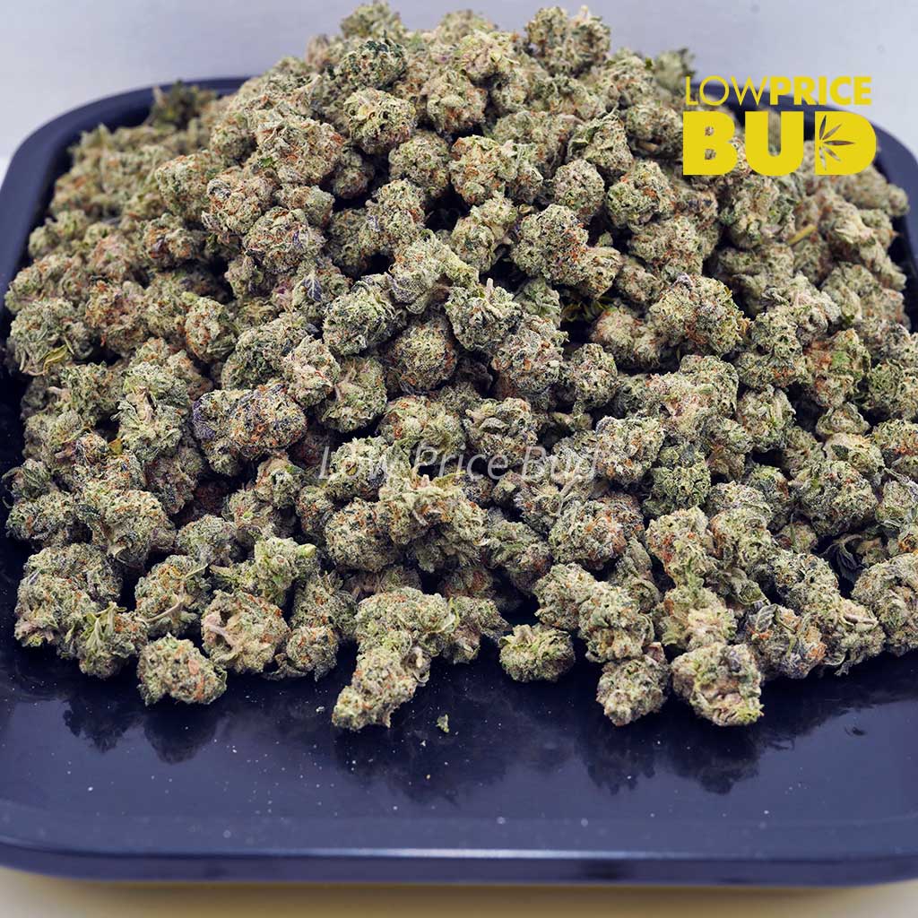 Cake Mintz (AAAA) – Popcorn Nugs Buy Cake Mintz (AAAA) – Popcorn Nugs online Canada