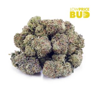 White Skunk (AA) Buy White Skunk (AA) online Canada