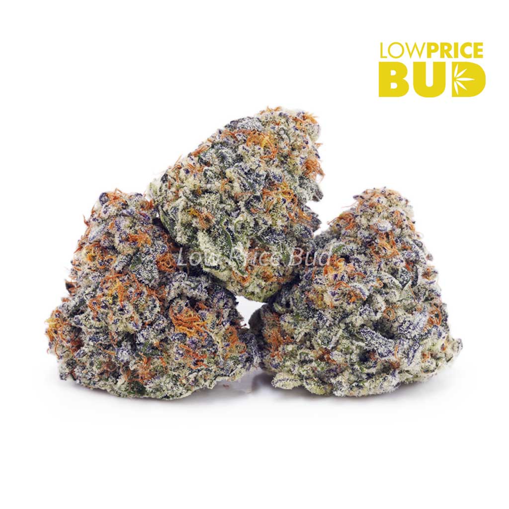 Mendo Cookies (AA) Buy Mendo Cookies (AA) online Canada