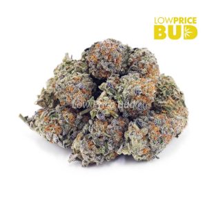 Mendo Cookies (AA) Buy Mendo Cookies (AA) online Canada