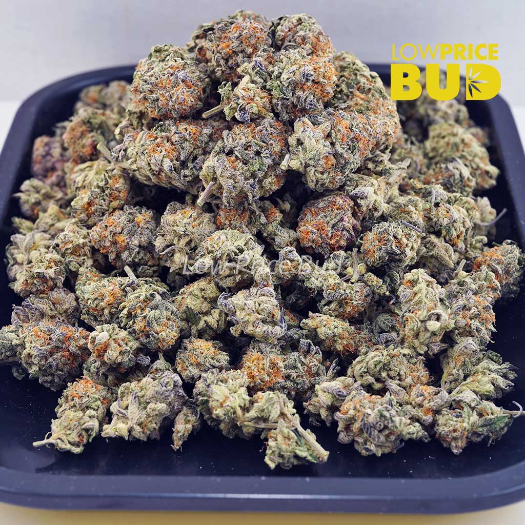 Mendo Cookies (AA) Buy Mendo Cookies (AA) online Canada
