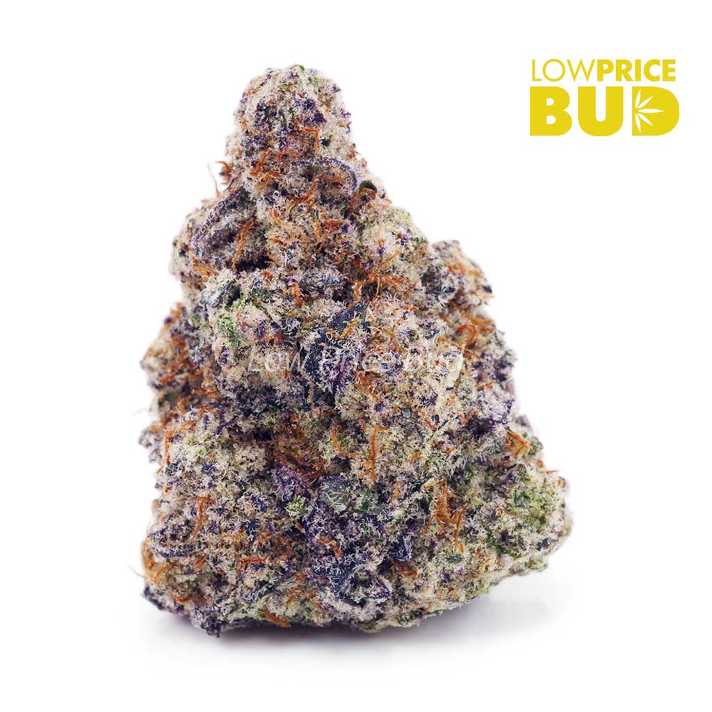Stawberry Gelato (AA) Buy Stawberry Gelato (AA) online Canada