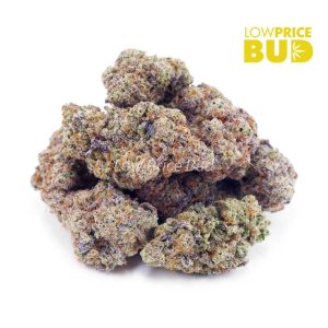 Stawberry Gelato (AA) Buy Stawberry Gelato (AA) online Canada
