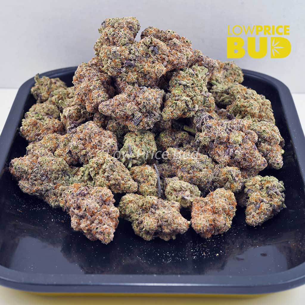 Stawberry Gelato (AA) Buy Stawberry Gelato (AA) online Canada