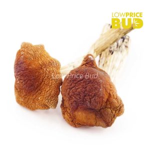 Buy Mushrooms – Treasure Coast online Canada