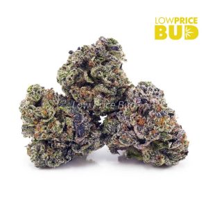 Cookie Glue (AAAA) Buy Cookie Glue (AAAA) online Canada