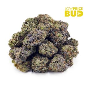Cookie Glue (AAAA) Buy Cookie Glue (AAAA) online Canada
