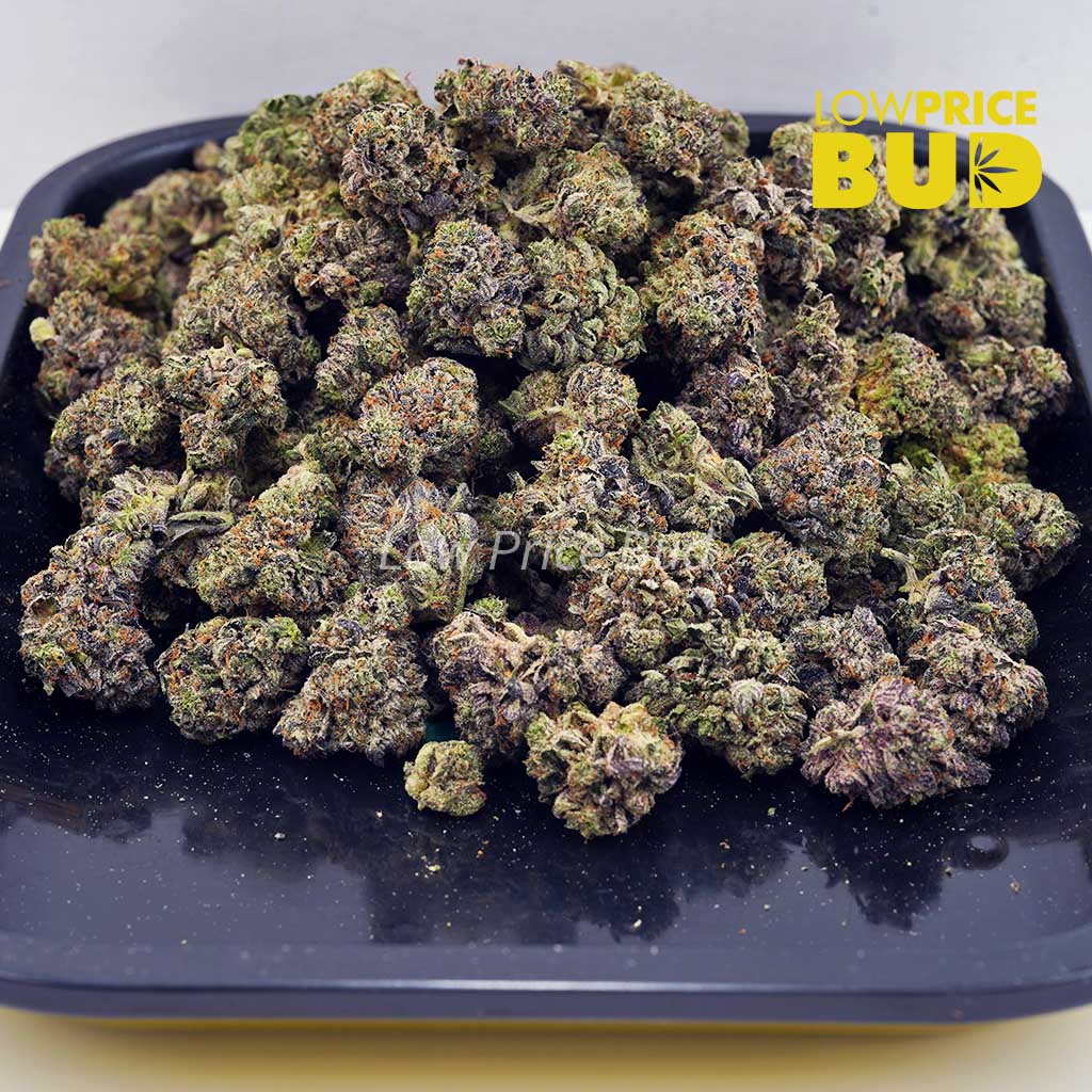 Cookie Glue (AAAA) Buy Cookie Glue (AAAA) online Canada