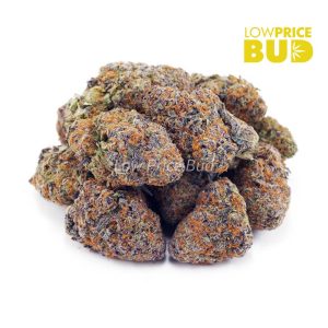 Pineapple Cake (Craft Cannabis) Buy Pineapple Cake (Craft Cannabis) online Canada