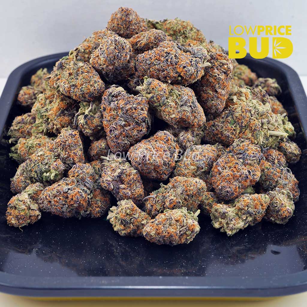 Pineapple Cake (Craft Cannabis) Buy Pineapple Cake (Craft Cannabis) online Canada