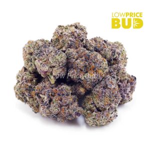 Orange Creamsicle (AAAA) – Popcorn Nugs Buy Orange Creamsicle (AAAA) – Popcorn Nugs online Canada