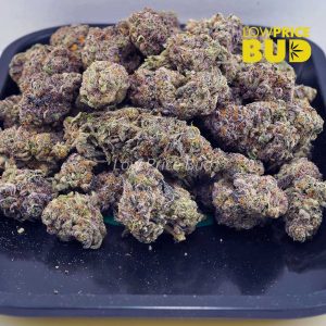 Buy Orange Creamsicle (AAAA) – Popcorn Nugs online Canada