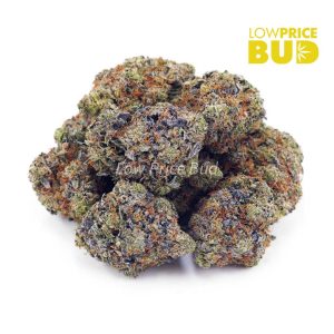 Buy Tom Ford Pink Kush (AAAA) online Canada
