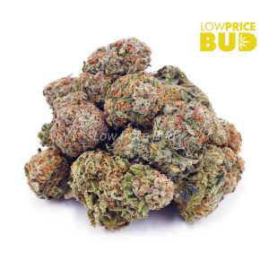 Buy Lemon Haze (AA) online Canada