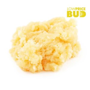 Buy Caviar – Champagne Kush online Canada