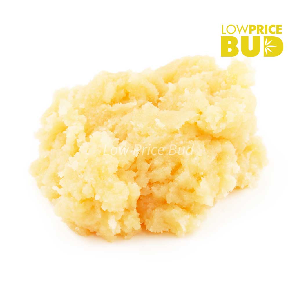 Caviar – Champagne Kush Buy Caviar – Champagne Kush online Canada