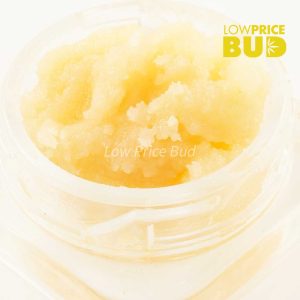 Caviar – Champagne Kush Buy Caviar – Champagne Kush online Canada