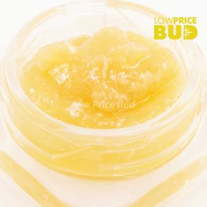 Buy Caviar – Kush Mintz online Canada