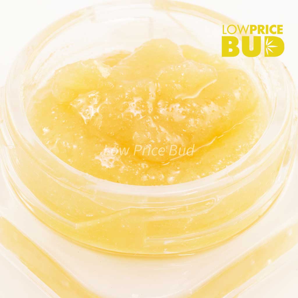 Caviar – Kush Mintz Buy Caviar – Kush Mintz online Canada