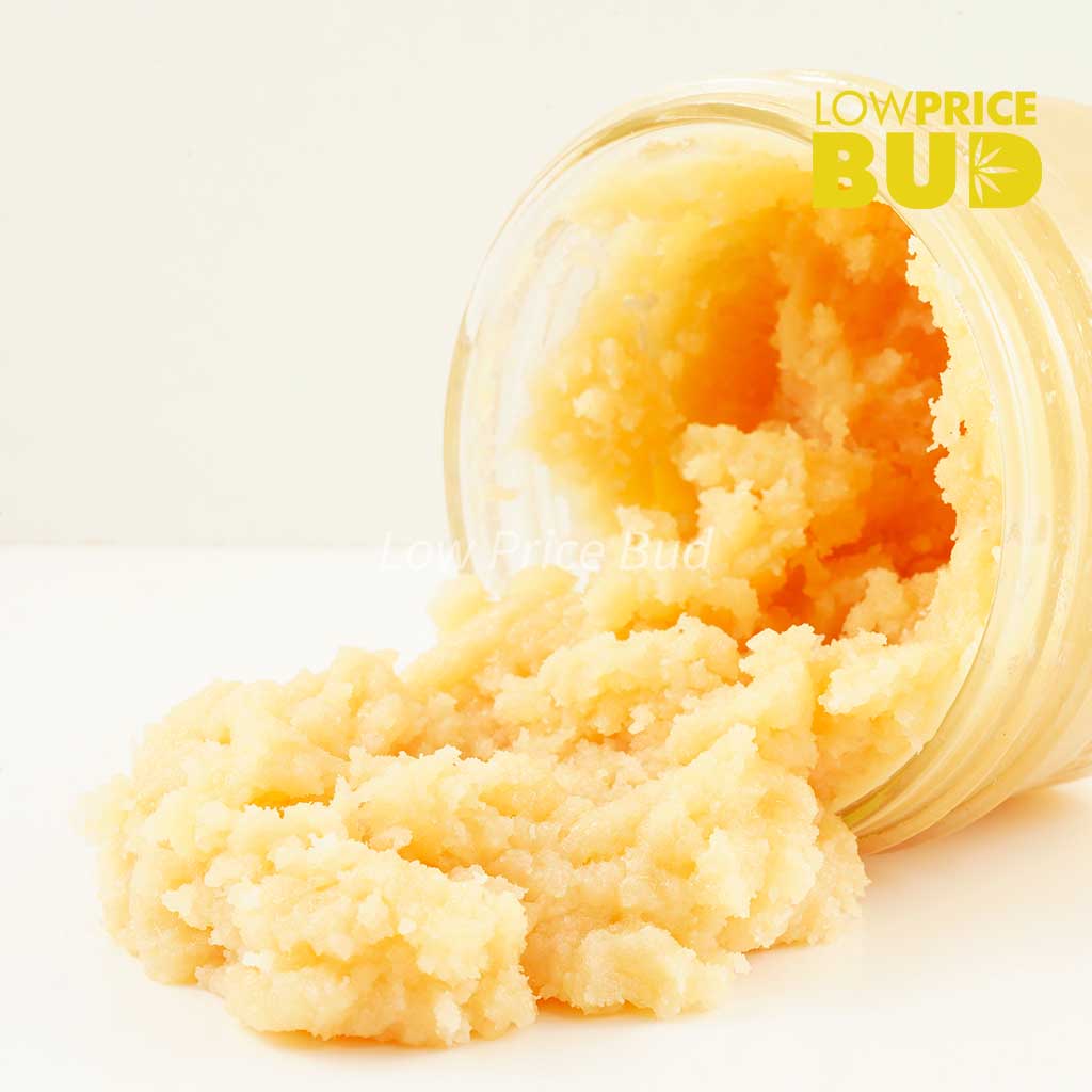 Caviar – Champagne Kush Buy Caviar – Champagne Kush online Canada