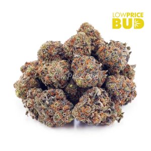 Buy El Muerte (AA) online Canada
