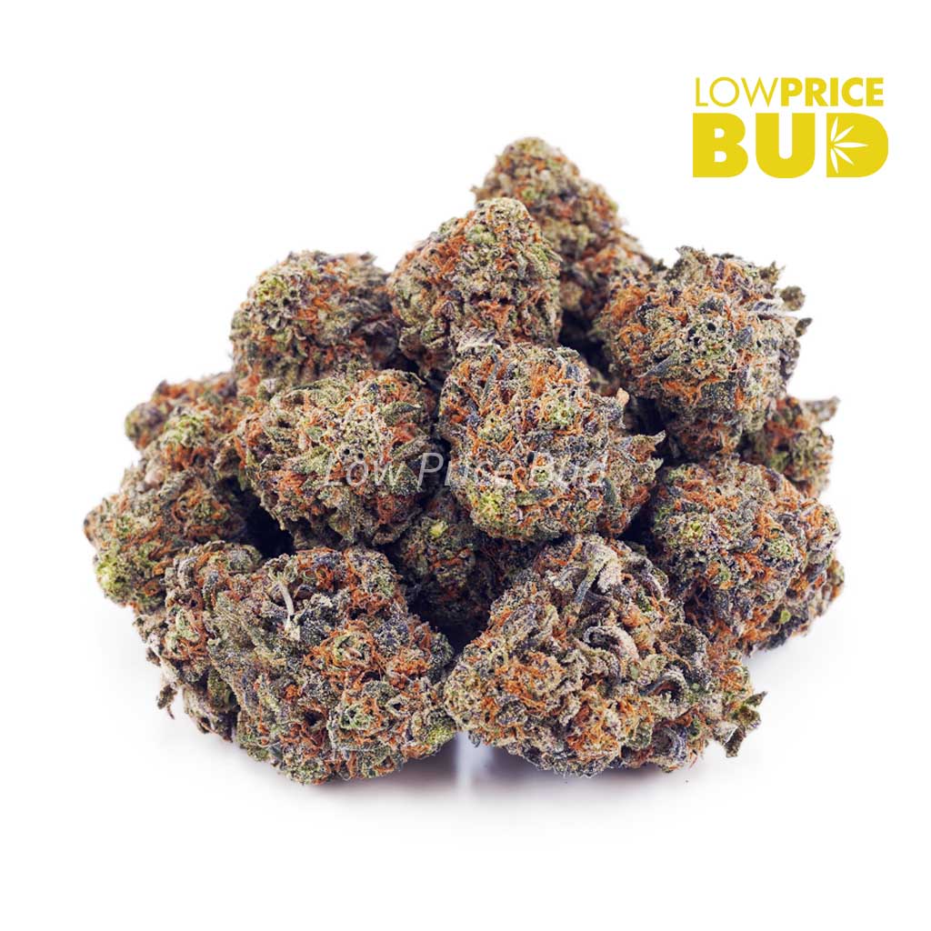 El Muerte (AA) Buy El Muerte (AA) online Canada