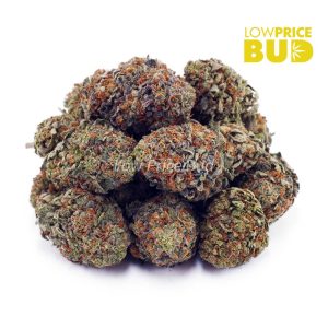 Incredible Hulk (AA) Buy Incredible Hulk (AA) online Canada