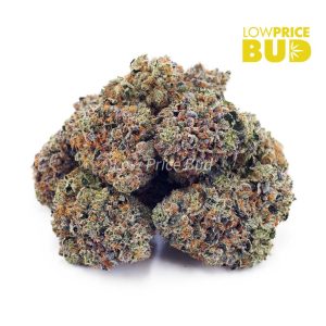 Buy OG Kush (AA) online Canada