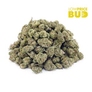 Buy Donkey Breath (AAAA) – Popcorn Nugs online Canada