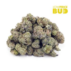 Buy Blackberry Gelato (AAAA) – Popcorn Nugs online Canada