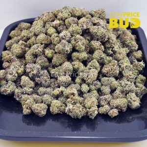 Buy Blackberry Gelato (AAAA) – Popcorn Nugs online Canada