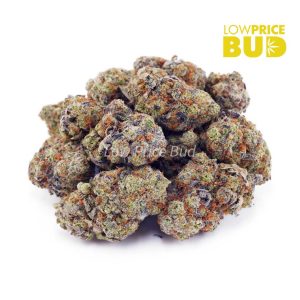 Gorilla Breath (AA) Buy Gorilla Breath (AA) online Canada