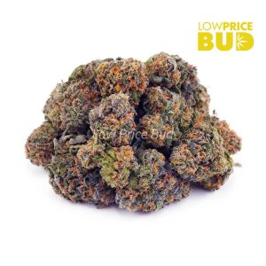 Buy Jolly Rancher (AAA) online Canada