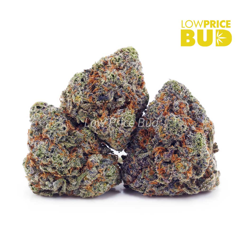 Alien Goo (AAAA) Buy Alien Goo (AAAA) online Canada