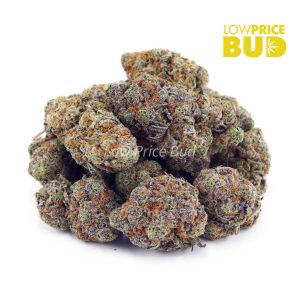 Alien Goo (AAAA) Buy Alien Goo (AAAA) online Canada