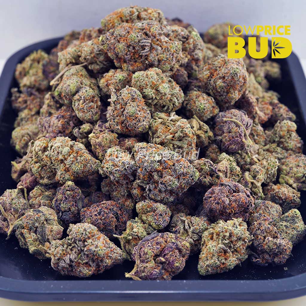 Alien Goo (AAAA) Buy Alien Goo (AAAA) online Canada