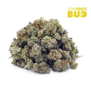 Buy Tangerine Cookies (AAAA) – Popcorn Nugs online Canada