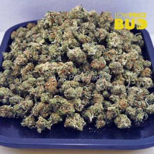 Buy Tangerine Cookies (AAAA) – Popcorn Nugs online Canada