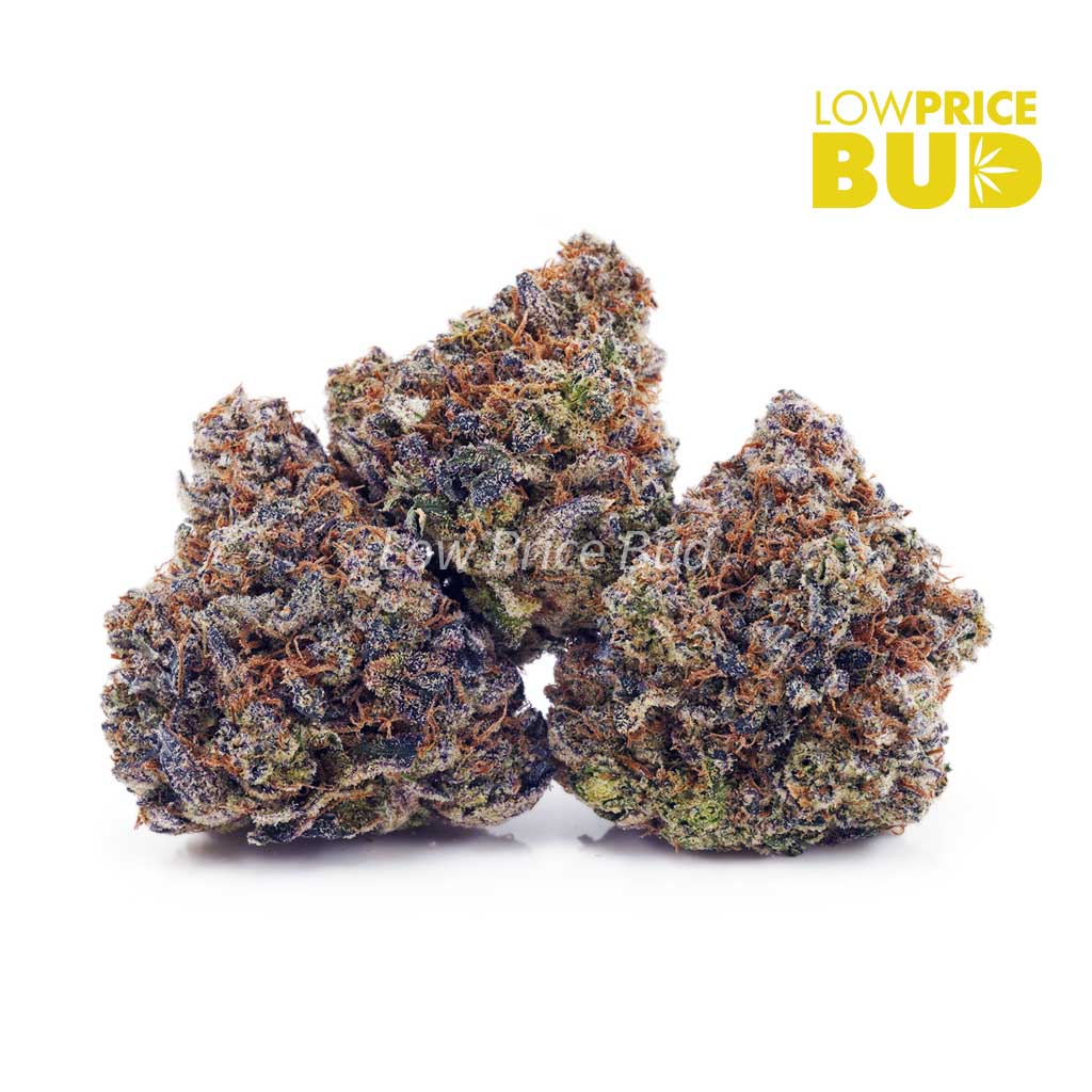 Sour Cherry Blaster (AAA) Buy Sour Cherry Blaster (AAA) online Canada