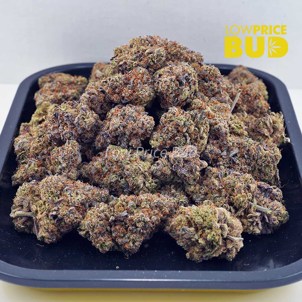 Sour Cherry Blaster (AAA) Buy Sour Cherry Blaster (AAA) online Canada