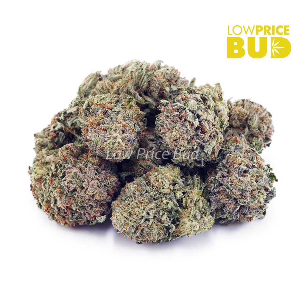 Lemon Drop (AA) Buy Lemon Drop (AA) online Canada