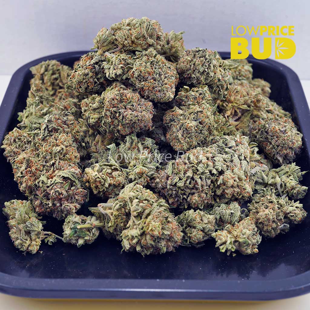 Lemon Drop (AA) Buy Lemon Drop (AA) online Canada