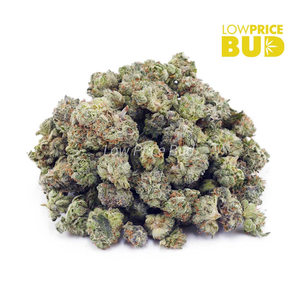 Green Dragon (AAAA) – Popcorn Nugs Buy Green Dragon (AAAA) – Popcorn Nugs online Canada