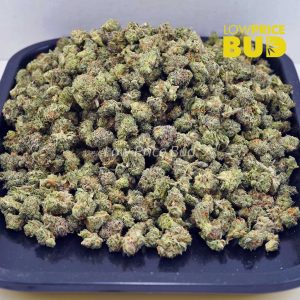 Buy Green Dragon (AAAA) – Popcorn Nugs online Canada
