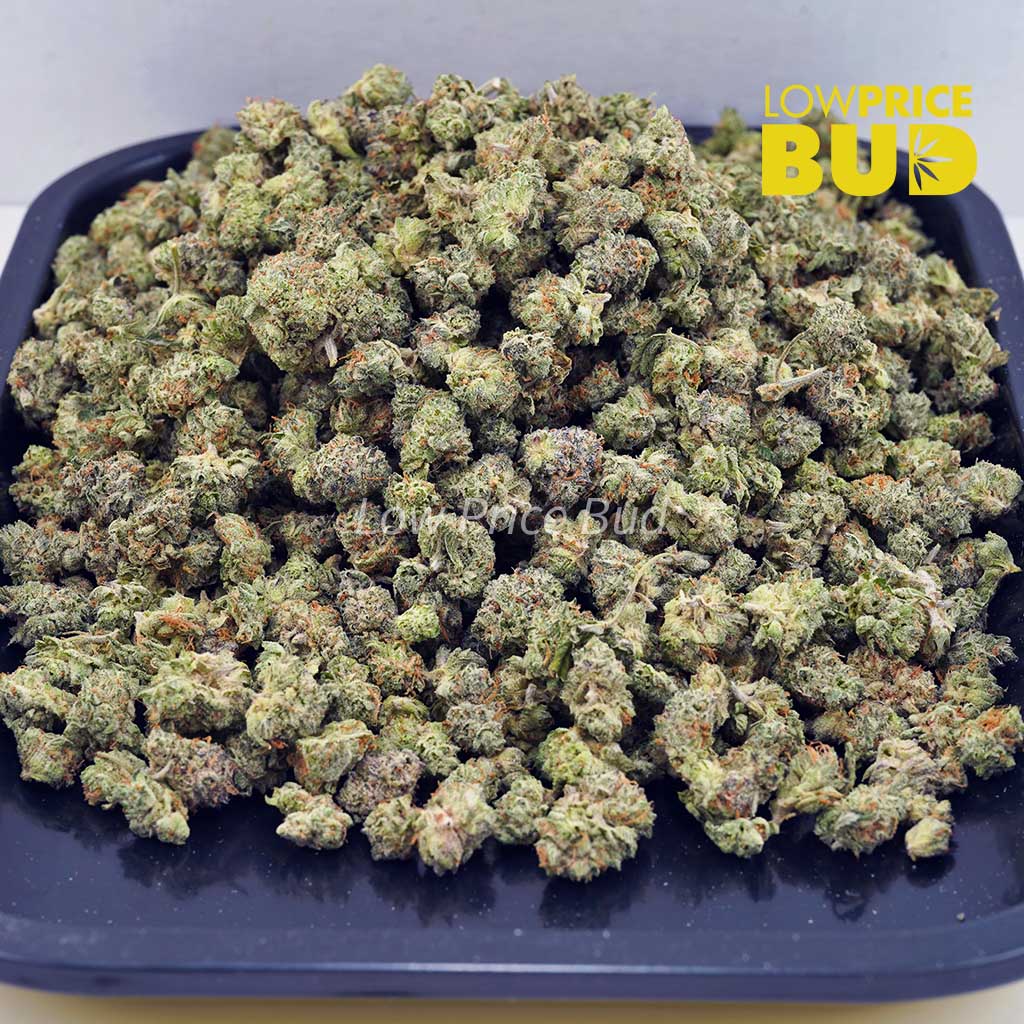 Green Dragon (AAAA) – Popcorn Nugs Buy Green Dragon (AAAA) – Popcorn Nugs online Canada
