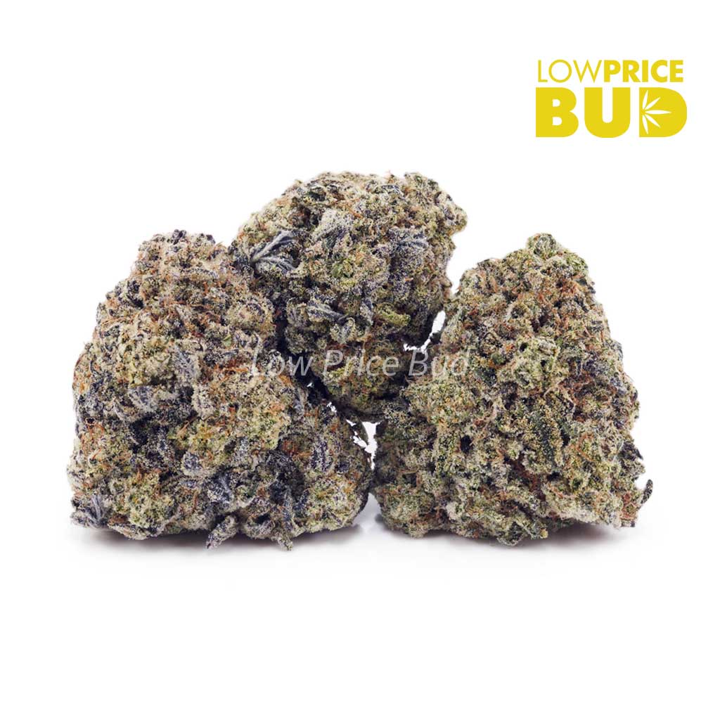 Sour Skunk (AAA) Buy Sour Skunk (AAA) online Canada